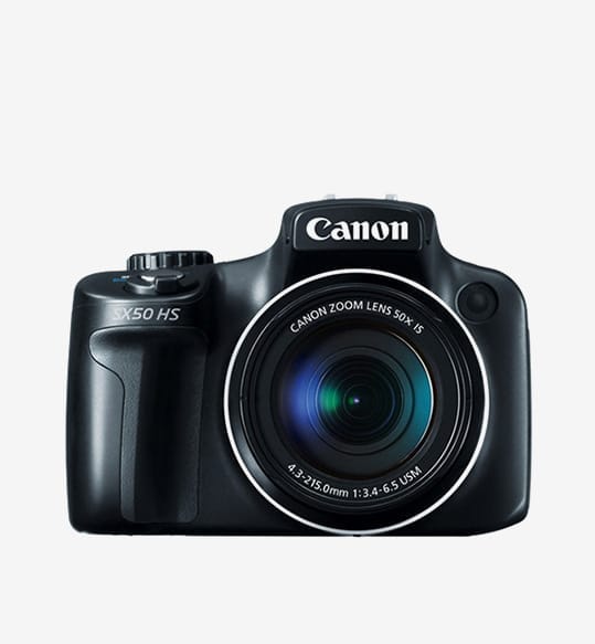 Morning Harvest - Image 2